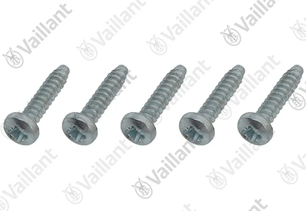 Fünf schraubenförmige Vaillant Schrauben mit Linsenkopf und senklichem Antrieb, geeignet für verschiedene Anwendungen.